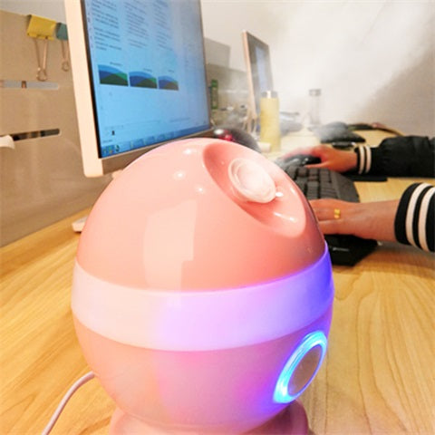 Nano Facial Steamer