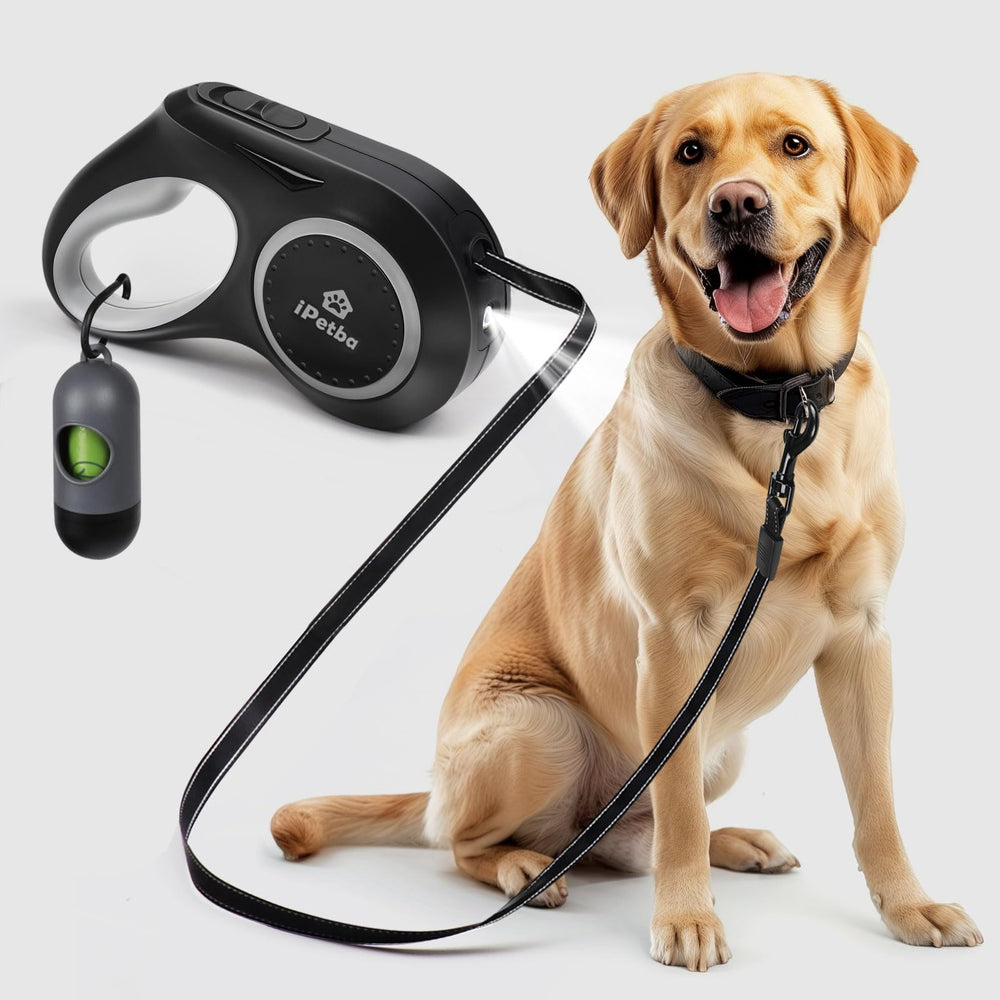 Borealis No-Tangle LED Dog Leash