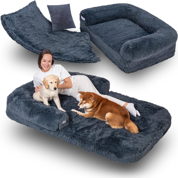 Royale Orthopedic Memory-Foam Dog Bed