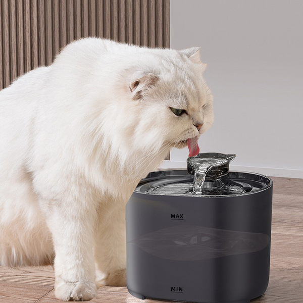 Cascade Stainless Cat Water Fountain