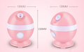 Nano Facial Steamer