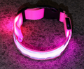 Rechargeable LED Dog Collar