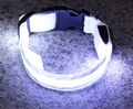 Rechargeable LED Dog Collar