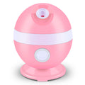 Nano Facial Steamer