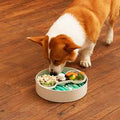 Slow Feeder Dog Bowl