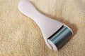 Stainless Steel Ice Roller for Face