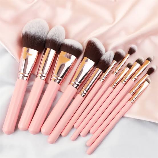 Professional Makeup Brush Set (12 pcs)